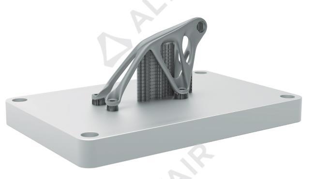 Altair Inspire  Print3D